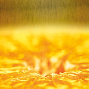 The contrast of fresh bursting grapefruit and deep sophisticated ambrox