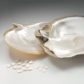 Rough mother-of-pearl stone, creative shot. Rough mother-of-pearl stone, creative shot.