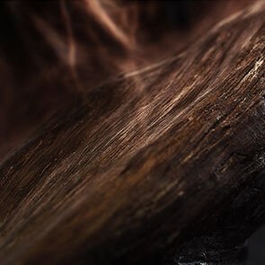 Precious essences of oud and smoked labdanum Precious essences of oud and smoked labdanum