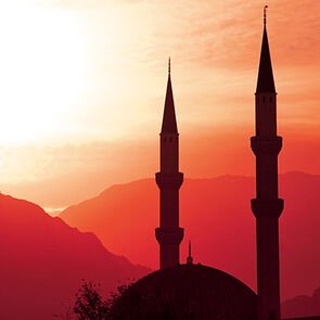 garanat_368x368_03
