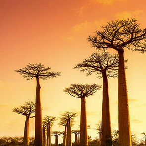 yasep_368x368_03 yasep_368x368_03