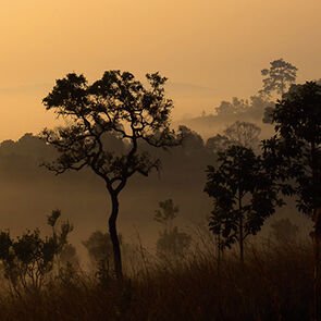 A journey through Kerala