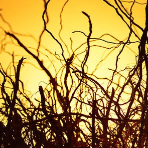 A tribute to the warm intensity A tribute to the warm intensity