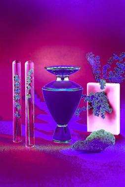Bulgari the hot sale perfume of gems