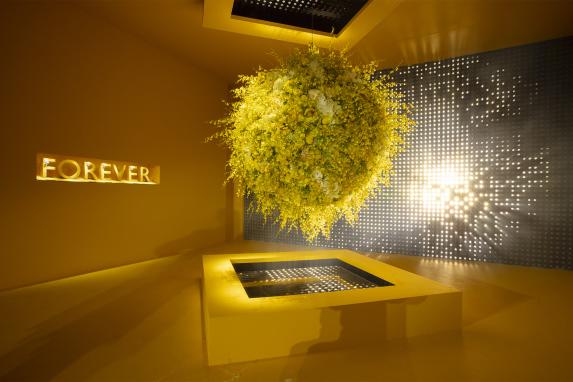 Bvlgari Resort Dubai