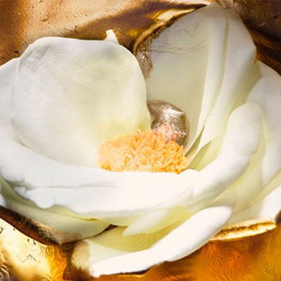 royal amber musk